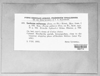 Image Associated With the Occurence
